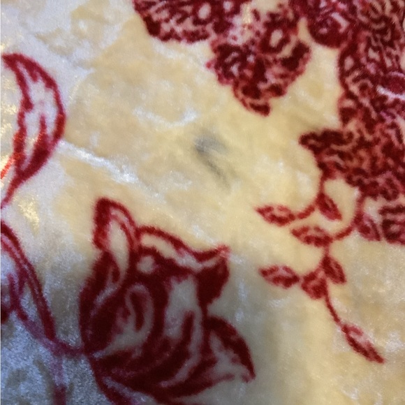 Giada Forte - Picture 3 of 8